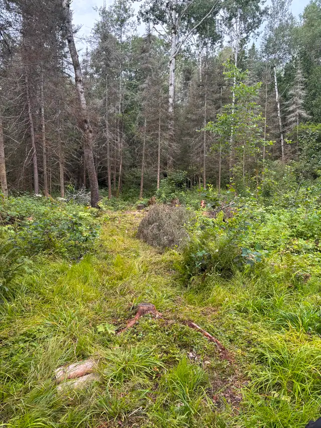 Land for sale near Whitefish63417637088769123