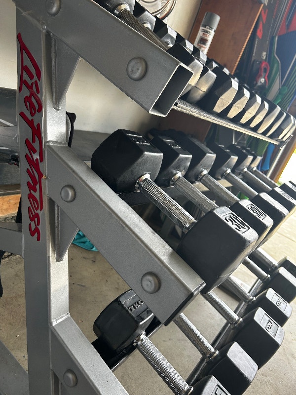 Rubber Hex Dumbbell Set + 3 Tier Rack 550lb Exercise Equipment