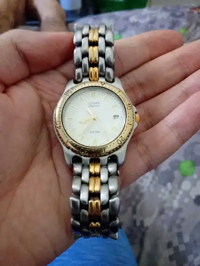 Citizen WR 100 watch , View more