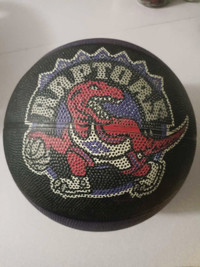 raptors basketball 