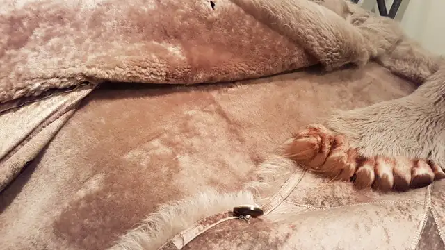 women's 3/4 shearling winter jacket in new condition in Women's - Tops & Outerwear in City of Toronto - Image 7