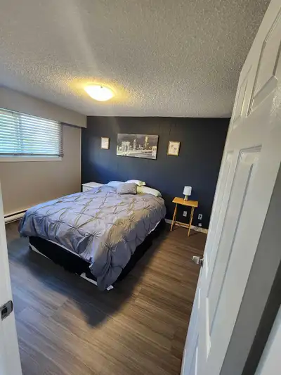 1 bedroom apartment for rent. Furnished or non-furnished. Recently renovated. 1650 non-furnished , u...