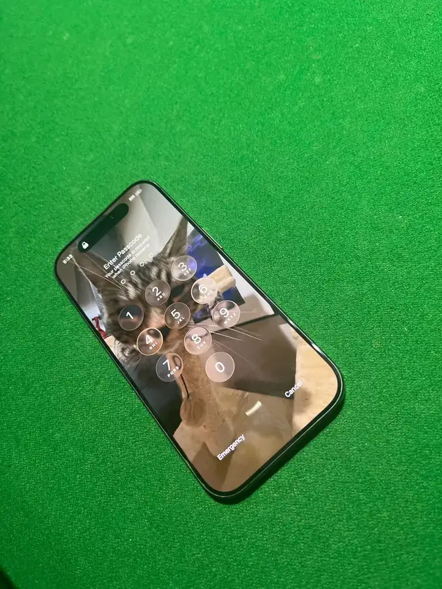 iPhone 17 562453688804986882