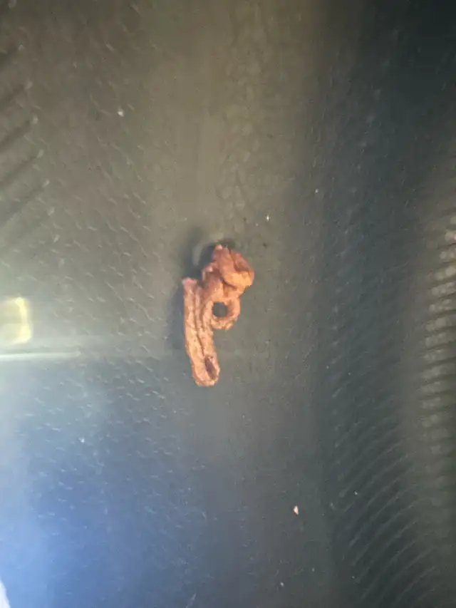 Continental CrossContact LX Sport 265/45 R20 Tire  in Tires & Rims in Hamilton - Image 8