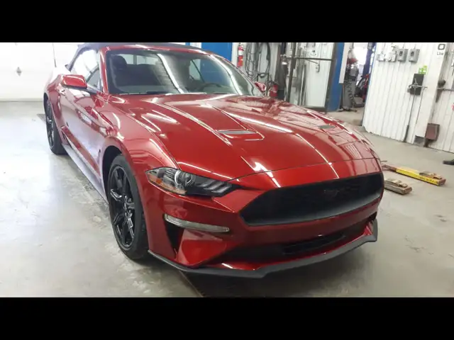 Mustang 2020 EcoBoost 2.3 L (fuel-efficient)