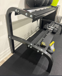 Commercial grade gym dumbbell rack 