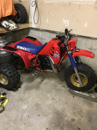 Recherche honda atc 250r