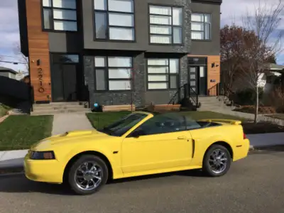 2002 Ford Mustang GT Convertible (low kms)