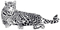 Leopard Wall Decal