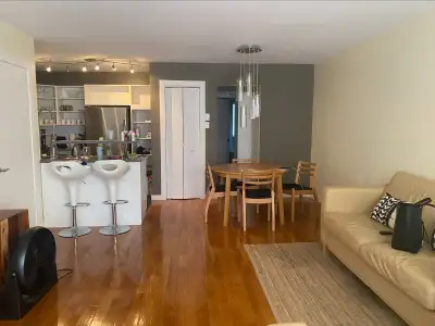 3 1/2 meublé -plateau montroyal