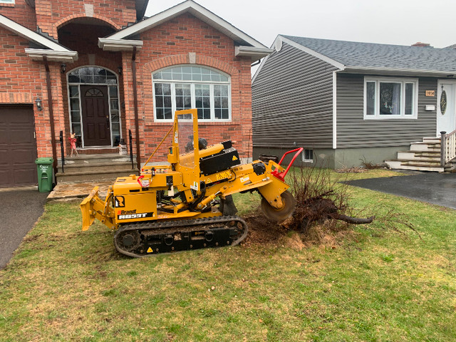 Stump Grinding in Lawn, Tree Maintenance & Eavestrough in Ottawa - Image 4