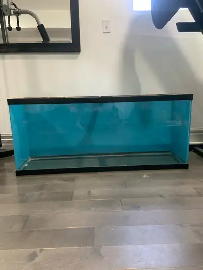 55 gallon aquarium , View more