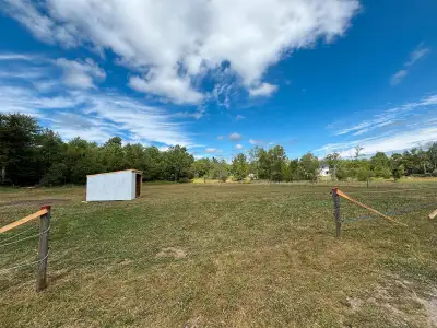 Private paddock/board, View more