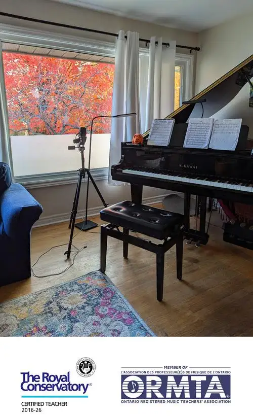 Qualified Piano Instructor63581882155139120