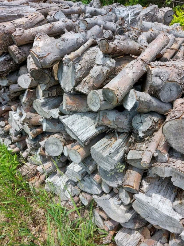 Applewood Firewood. Split or Logs / Lengths in Other in Trenton