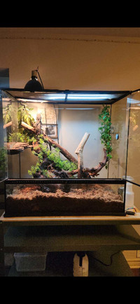 Exo Terra TERRARIUM LARGE X-TALL including wood, light fixtures,