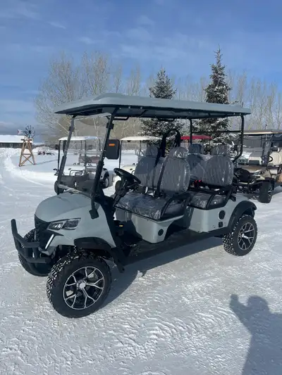 Custom Golf Carts – Loaded & Ready to Go!, View more