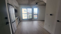 Sublet/Lease Take Over: 1 Bed 1 Bath Apartment Downtown