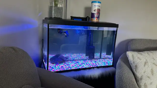  Fish tank  in Hutches & Display Cabinets in London - Image 2