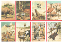 cards collectible ANIMALS RHINOCEROS GAZELLE DEER