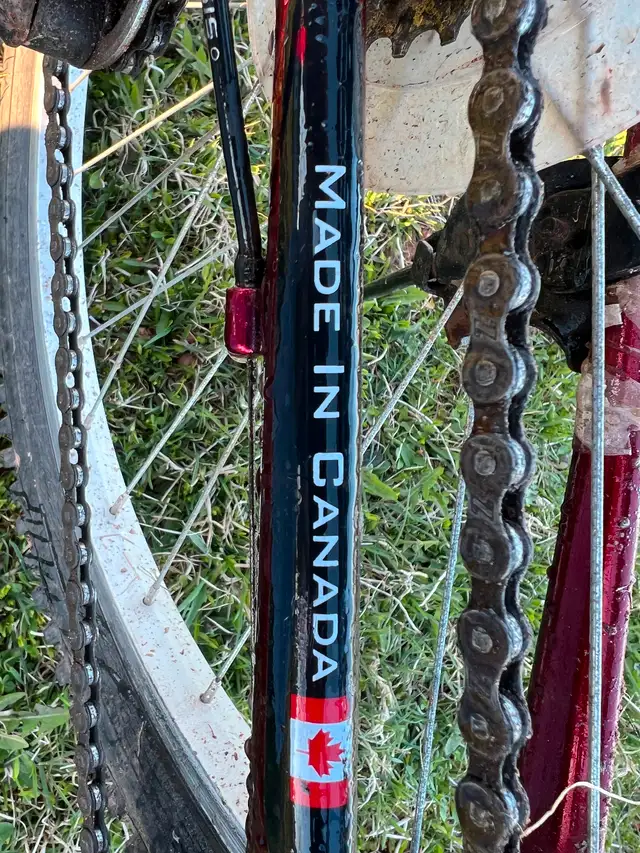 2 Raleigh bikes in Other in Charlottetown - Image 5
