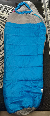 The north face sleeping bag