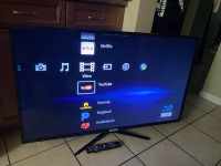 50” Avera LED TV Combined with a Sony Smart Blue Ray Player