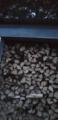 Dry ash firewood 