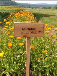 Garden signs Custom Personalized Trail markers