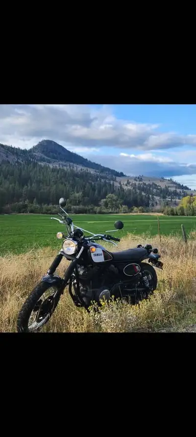 2017 Yamaha 950 SCR with 18,400 kms , new tubes and tires all round , new rear brakes and new V driv...