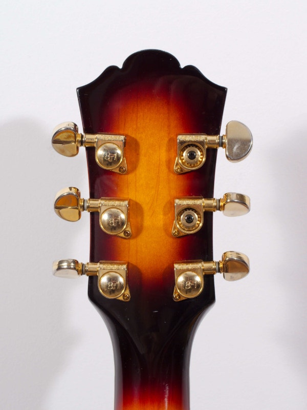 Tobacco Burst Hollow Body Washburn J5 Jazz Guitar Guitars Red Deer