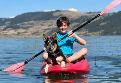 Okanagan Lake Leased 60ft waterfront lots available  Tule Beach, View more