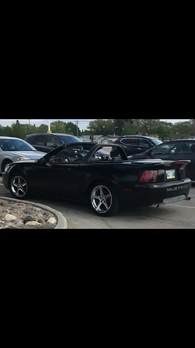 Ford mustang Super fun car slithers on command. Leather power seat short thro bbm shifter on 5speed...