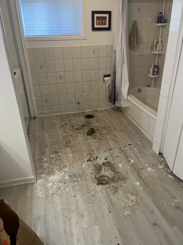 Home Services | Repairs, Maintenance, Installations & Reno in Other in Ottawa - Image 8