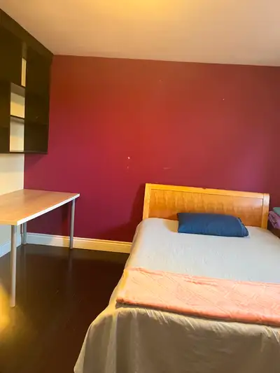 Single Room for Rent