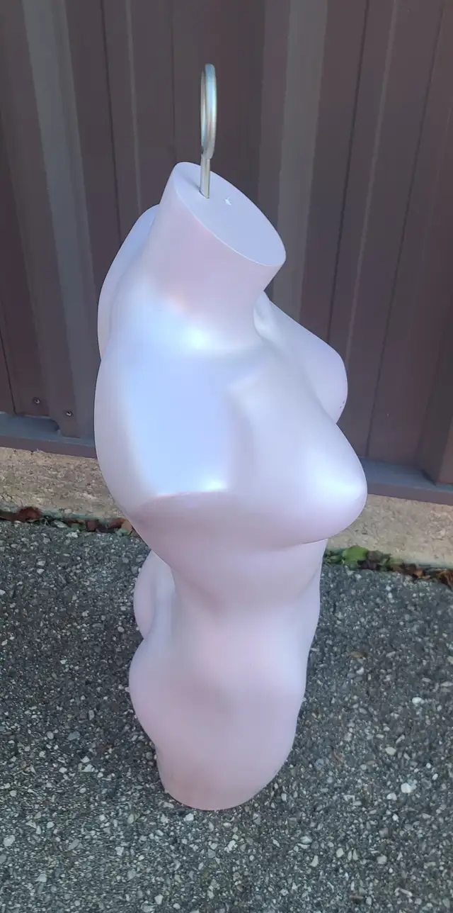 Plastic woman's torso display mannequin.64959982430337121
