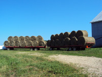 NEW 2024 STRAW AND HAY for sale