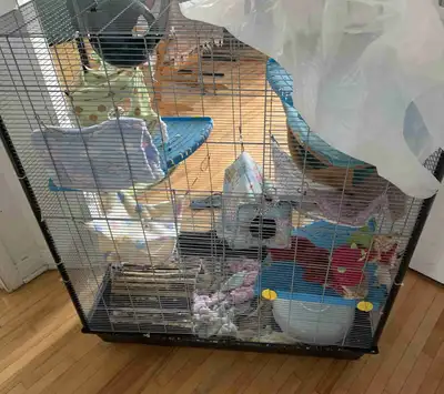 cage for rats / birds / chinchilla etc, View more