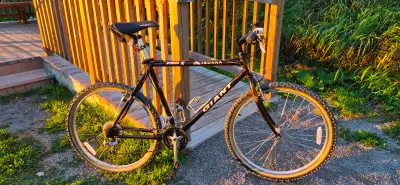 Excellent Vintage Giant iguana mountain bike in Large frame, View more