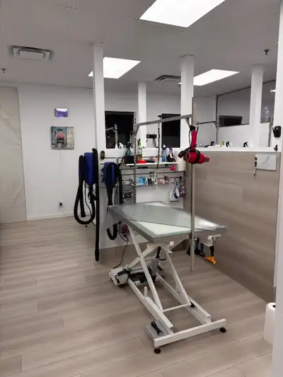 DOG GROOMING TABLES AVAILABLE FOR RENT AT CHOOPA DOG CENTER IN SAINT LEONARD $500.00 PER WEEK INCLUD...
