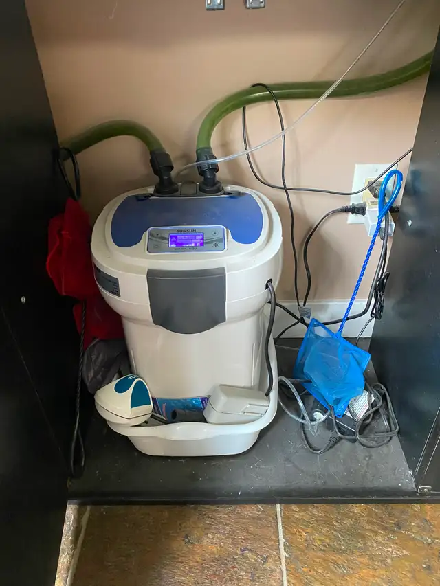 55 gallon fresh water fish tank in Fish for Rehoming in Edmonton - Image 5