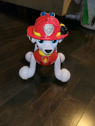 Paw patrol zoomer Marshall walks