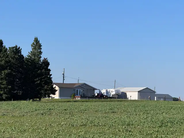 Cattle Farm 