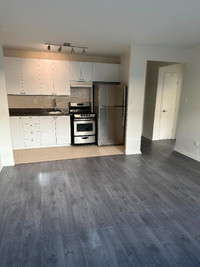 Newly Renovated 1 bedroom Apartment For Rent