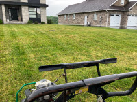 Lawn Aeration + Seeding & Soil (Repair Grub/Vole/Racoon Damage)
