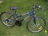 Vagabond 24 Inch Bike for sale in Truro
