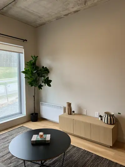 APPARTEMENT MEUBLÉ À LOUER – DISPONIBLE JUILLET 2025 Situé sur le boulevard des Récollets, à quelque...