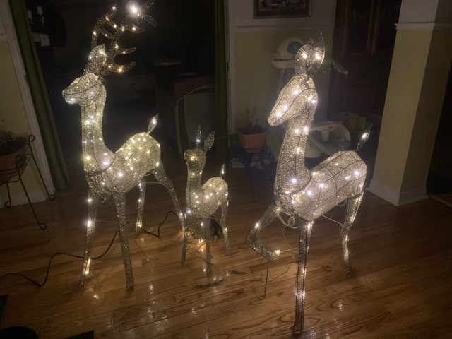 Reindeer 3 Piece Outdoor or Indoor Christmas Decorations dans Autre  à Longueuil/Rive Sud
