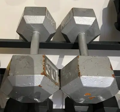 30 lb Dumbbells (2), View more