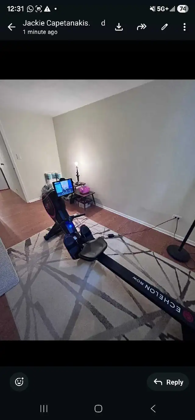 REGATTA SMART ROWER - ECHELON432473275200317440